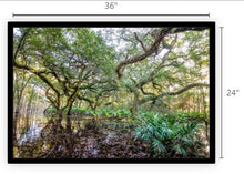 Load image into Gallery viewer, Pond of the Sacred Seeds I Canvas