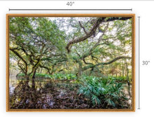 Load image into Gallery viewer, Pond of the Sacred Seeds I Canvas