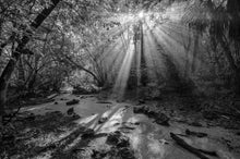 Load image into Gallery viewer, Ancient Light I B&amp;W HD Acrylics and Metallic Prints