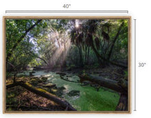 Load image into Gallery viewer, Ancient Light I Canvas