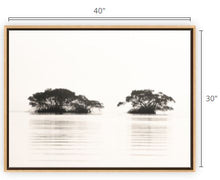 Load image into Gallery viewer, Forever Glades Canvas