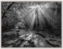 Load image into Gallery viewer, Ancient Light I B&amp;W Canvas