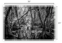 Load image into Gallery viewer, Ceremony Of Shadows-Cottonmouth Pond Museum Quality Paper