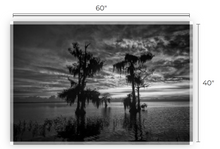Load image into Gallery viewer, Emotions Revealed 	BW Canvas