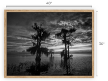 Load image into Gallery viewer, Emotions Revealed 	BW Canvas