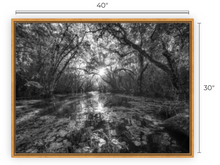Load image into Gallery viewer, Dreaming now, Then BW Canvas