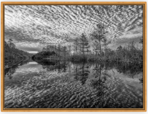 Water Memory BW Canvas